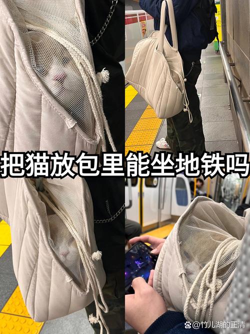 地铁能带猫吗用箱子装着