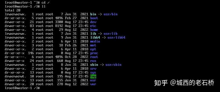 Linux进入根目录