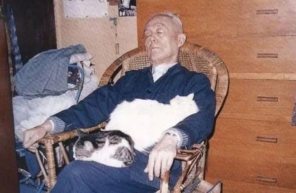 老舍和猫截图