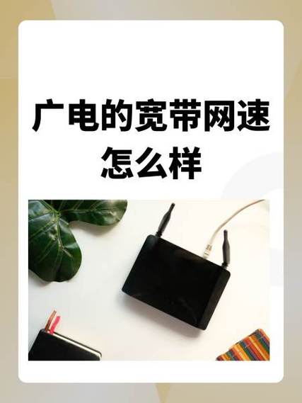 宽带20m和20兆是一个意思吗游戏截图