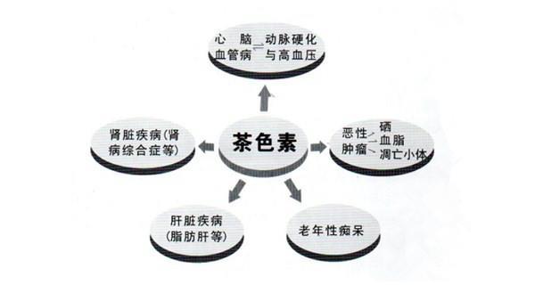 茶色素能治糖尿病吗缩略图