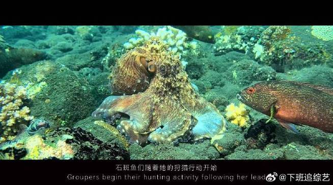 水世界纪录片