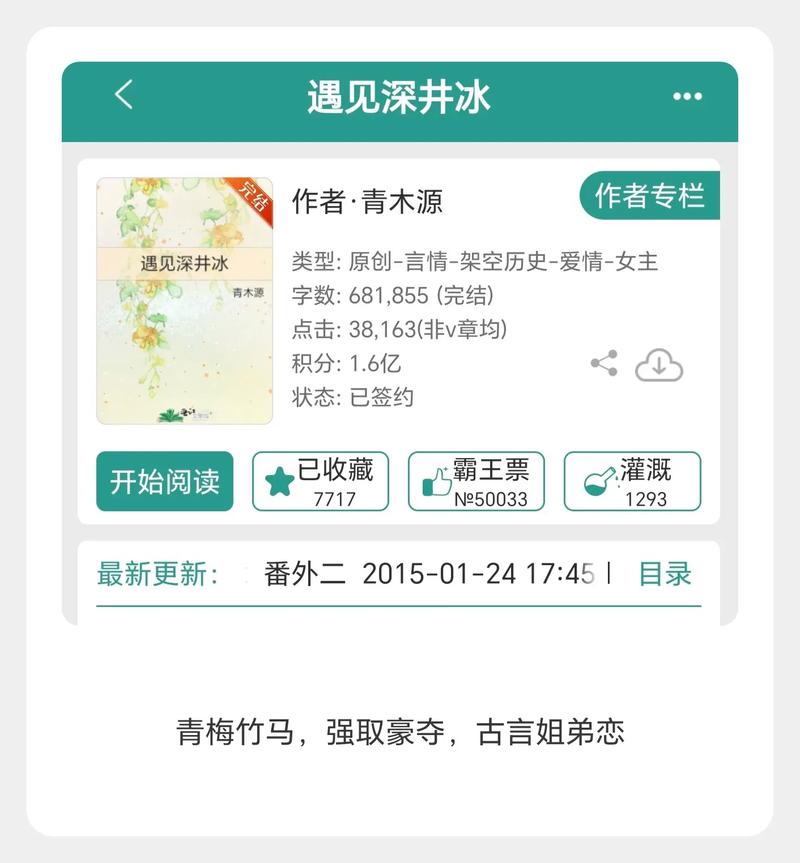 遇见深井冰小说