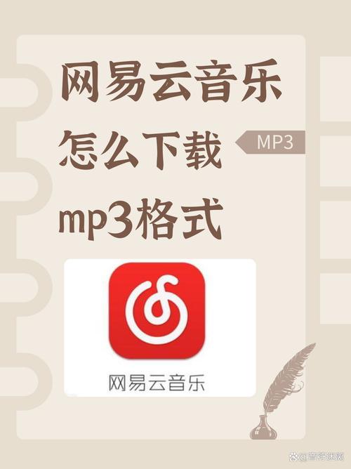 怎么下载网易云的音乐到本地图标