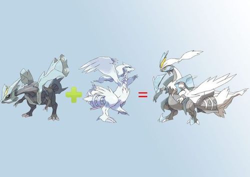 雷希拉姆和酋雷姆合体图标