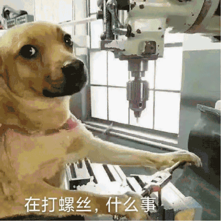 打螺丝暗示着什么缩略图