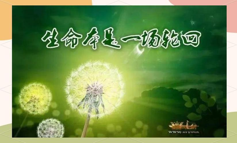 死亡计算器,寿命计算器游戏截图