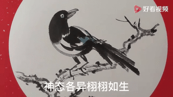 喜鹊儿app登录不上去怎么办图标