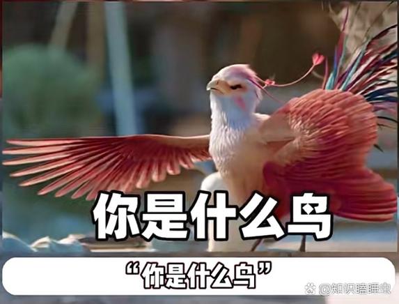 鸟几合起来念什么