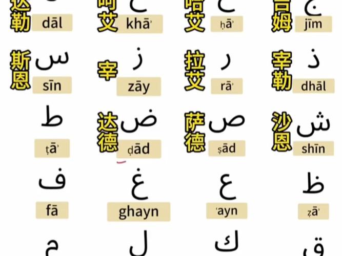 阿拉伯语28个字母口诀游戏截图