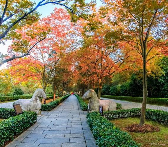 南京十大景点截图