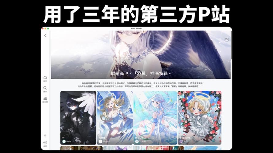 pixiv免登录版介绍截图
