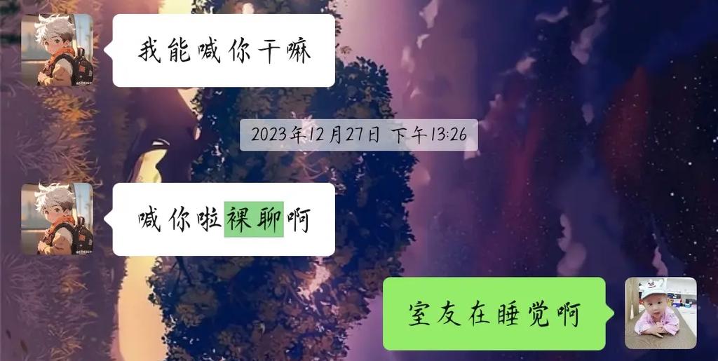 支付宝聊天发出去自己会没掉