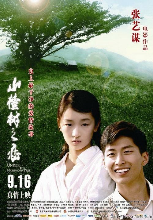 山楂树之恋谁唱的好听
