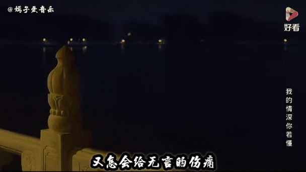 我的深情你若懂免费阅读全文
