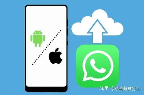 whats app安卓下载