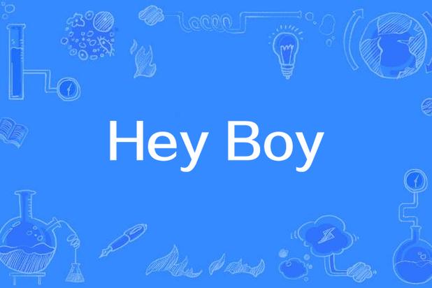 hey boy的翻译图标