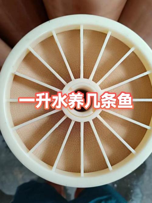 100升水养10厘米的鱼几条
