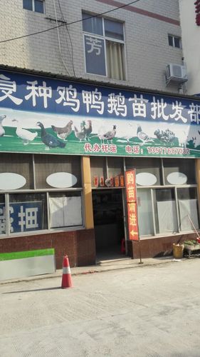 附近卖鹅的地方缩略图