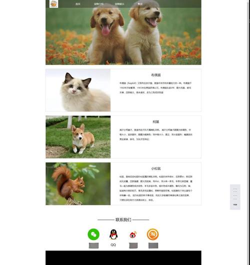 WebCat官网