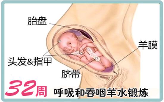 怀孕32周3斤半算小吗