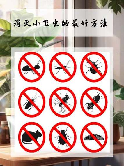 怎么清理小飞虫