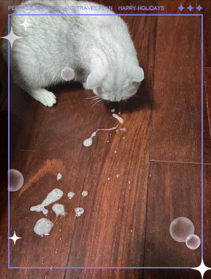 小猫吐白色泡沫是怎么回事