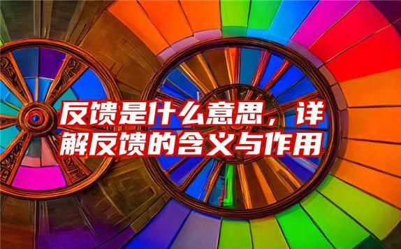 在我的oppo里反馈有用吗