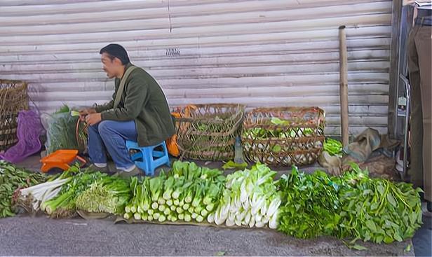 网上卖菜