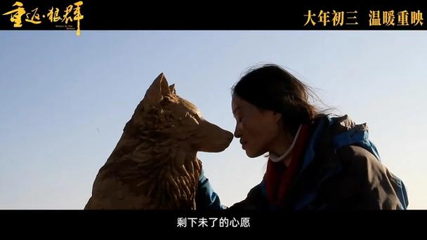 重返狼群2在线观看完整