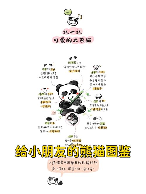 foodpanda怎么填写资料