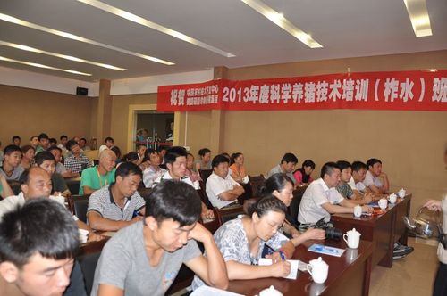 养猪技术培训学校游戏截图