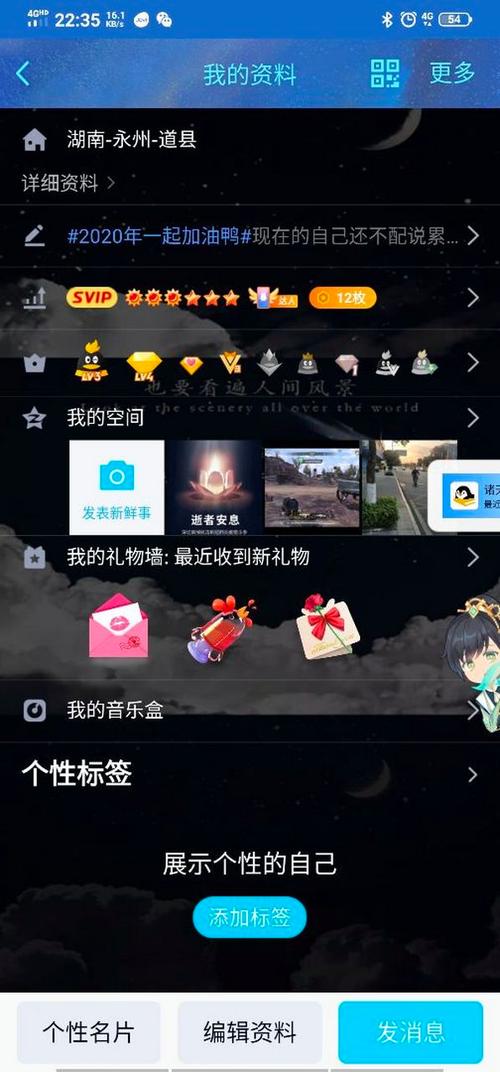 黄钻对其隐身在哪里设置图标