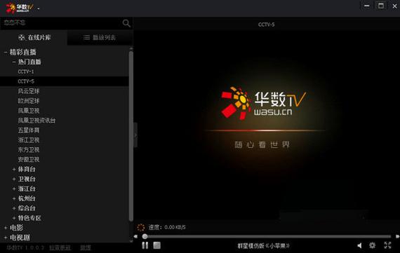 华数tv系统设置在哪里
