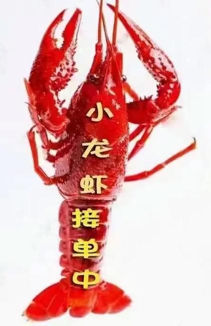 刷小龙虾赚钱