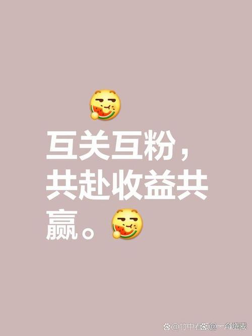 爱互粉app的推广方式截图
