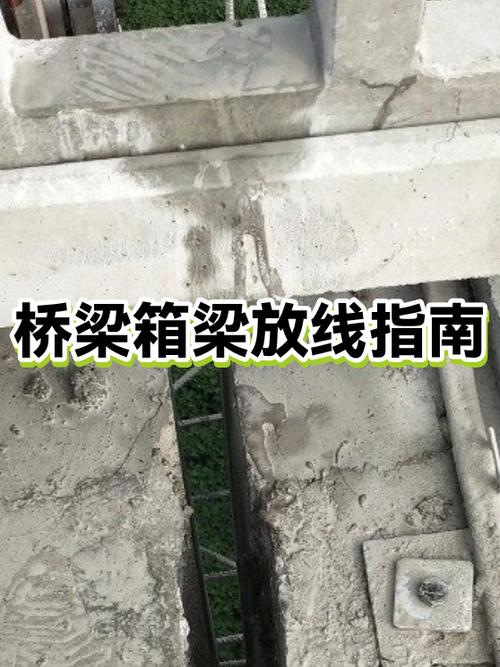桥梁施工放线方法图解