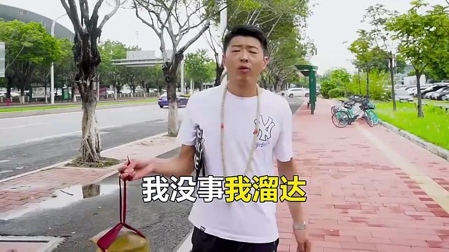 没事我溜达是谁说的截图