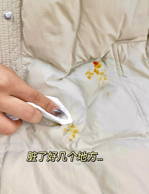 怎样去除羽绒服上的顽固污渍游戏截图