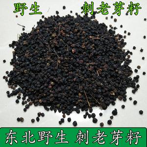 刺龙芽种子长啥样