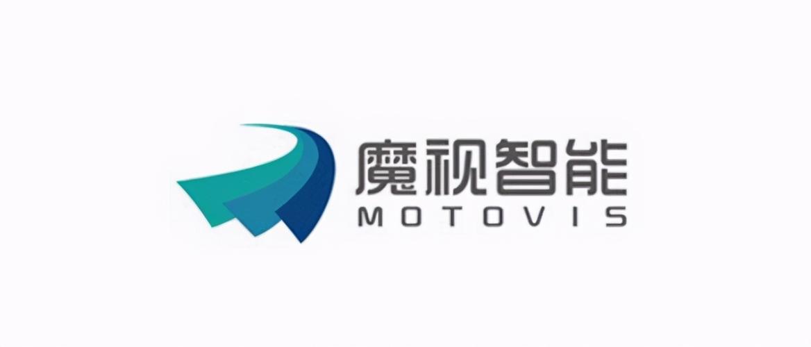 魔视官方网站图标