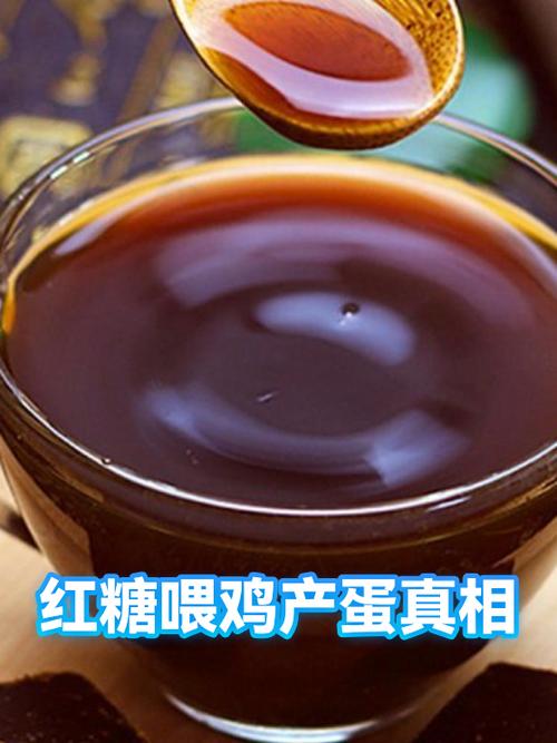 红糖加什么鸡产蛋多