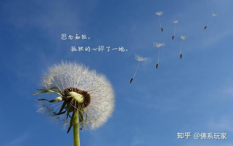 心中的包袱终于放下截图