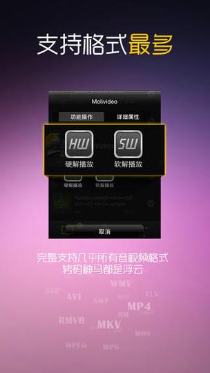moliplayer tv版截图