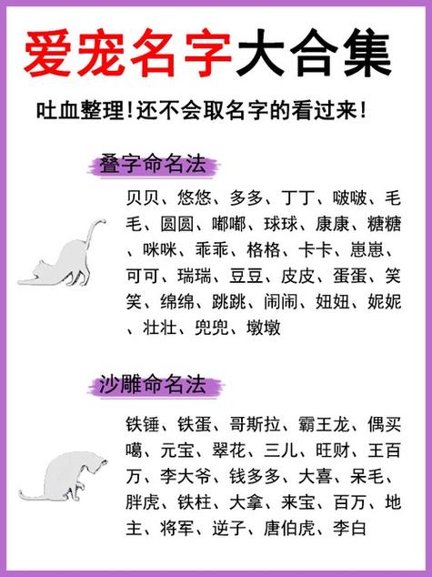 带猫字的队名截图