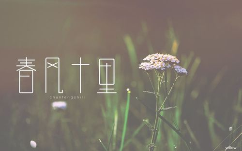 春风十里后半句