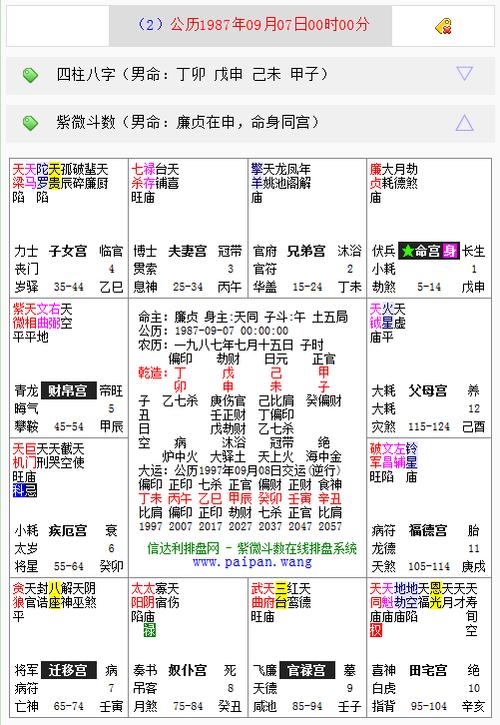文墨天机紫微斗数准吗截图