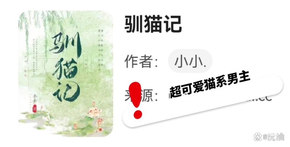 《驯猫记》 小小
