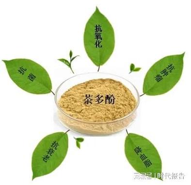 茶多酚与糖尿病的关系