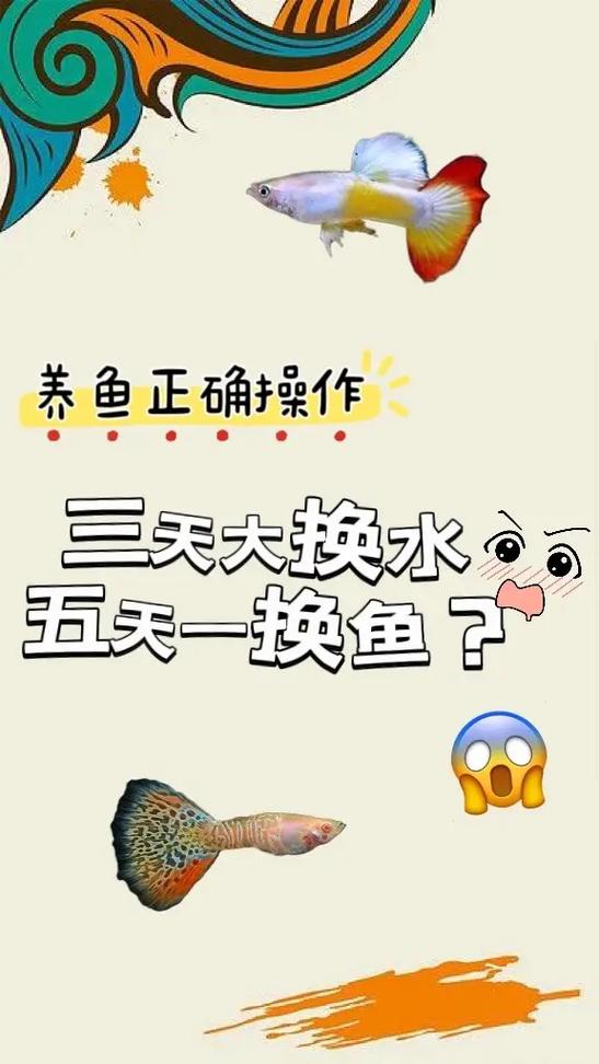 给热带鱼换水的正确方法截图